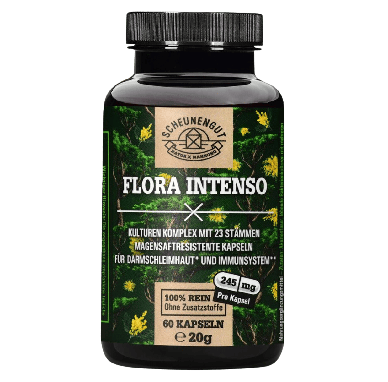 Floraintense Tp